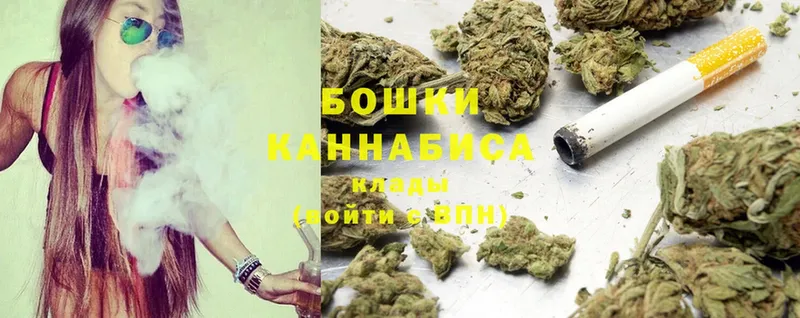 Бошки марихуана Ganja  Новопавловск 